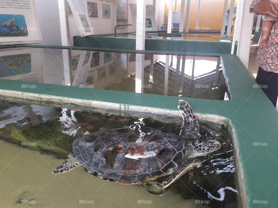 Editors' Choise: Photo of the Week