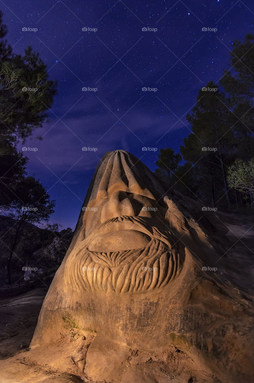 El guardián del bosque 