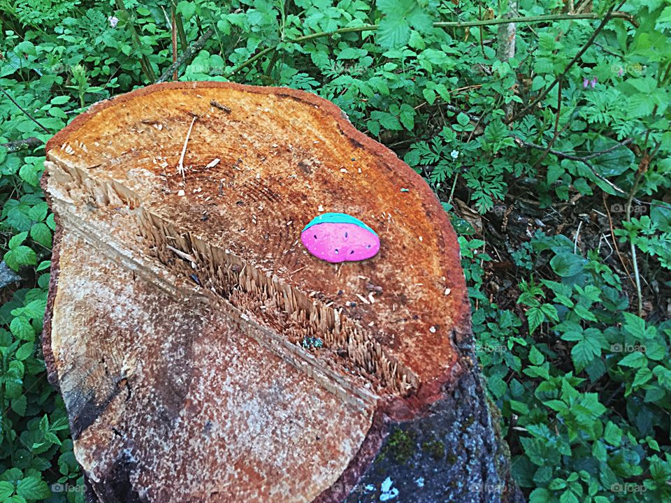 Stone Painted as a strawberry on a tree stump