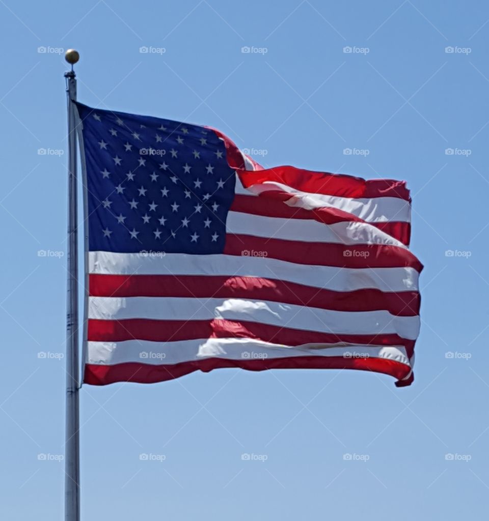 Old Glory in the wind