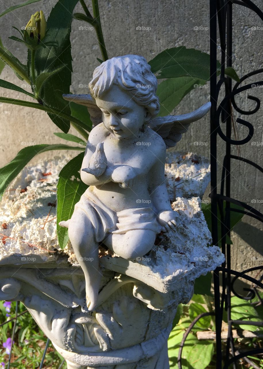 Angel Statuary in Garden Late Afternoon✨