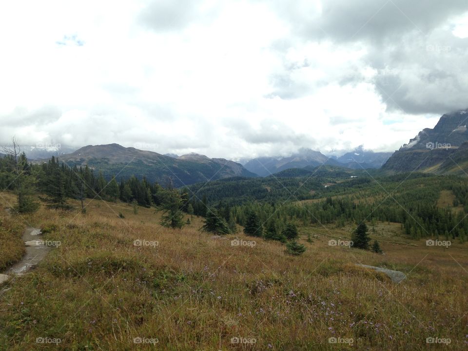 Hike at Healy pass 