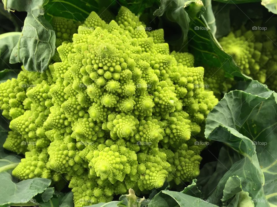 Close-up view of romanesco cabbage