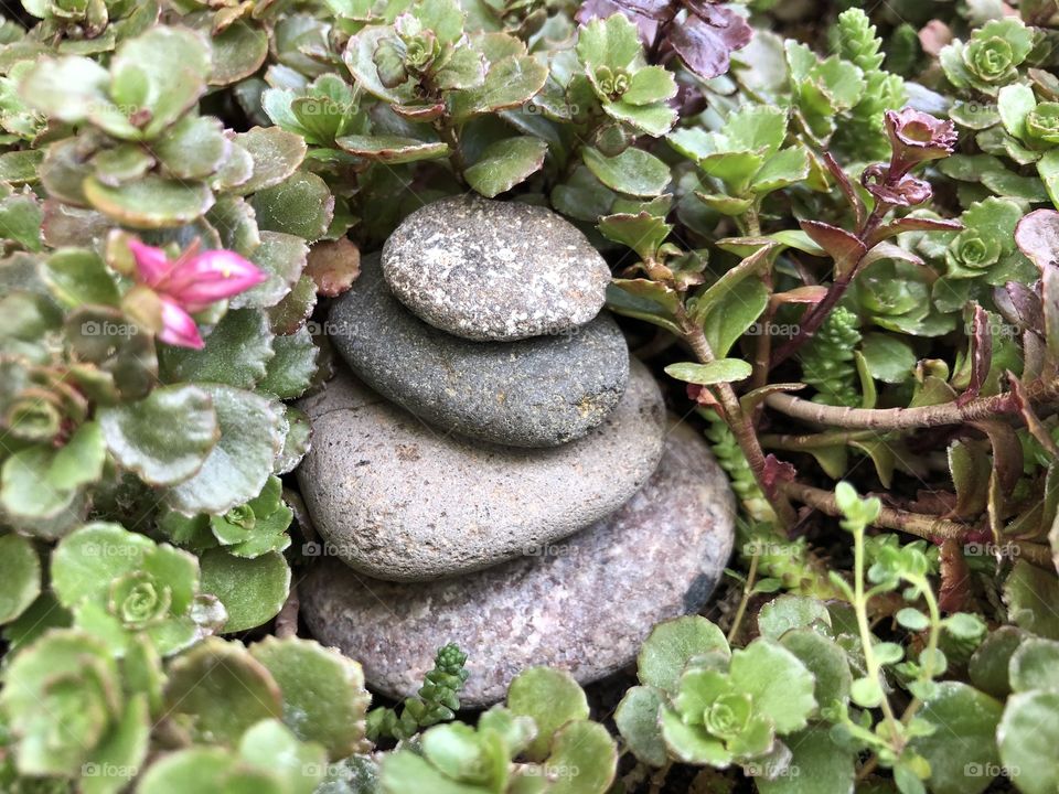 Stone tower in succulent garden mini scape