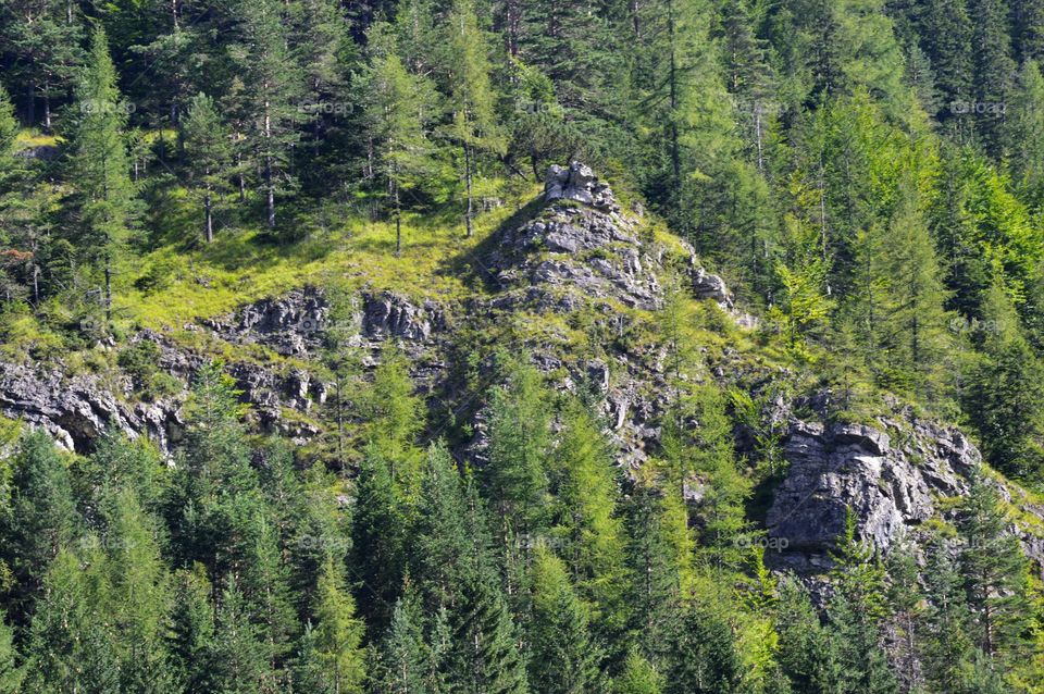 View of tatra mountains in Poland