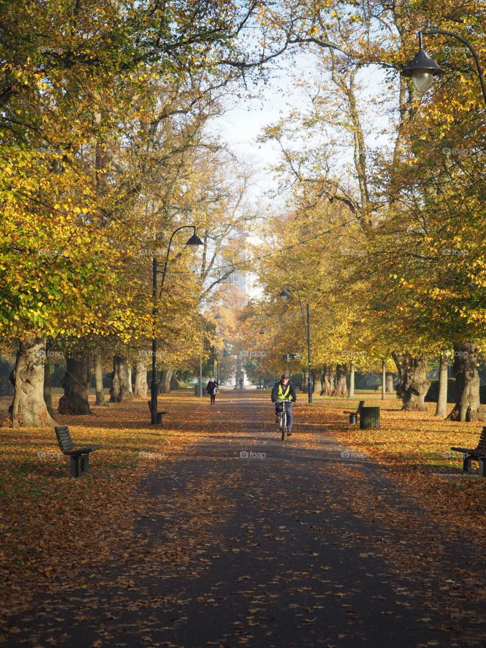 Autumn park path in Southampton