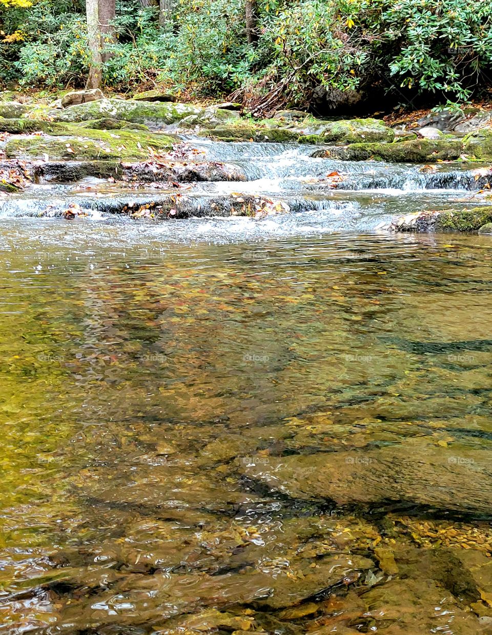 Creek water on rocks