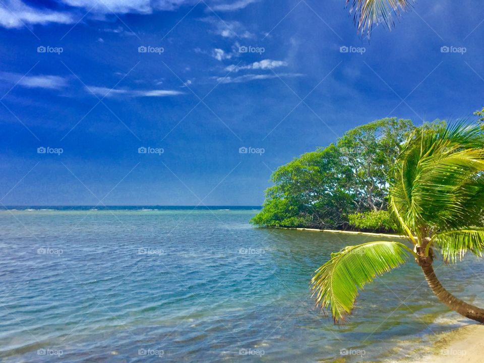 Tropical beach of Mahogany Bay in Roatan Honduras. 