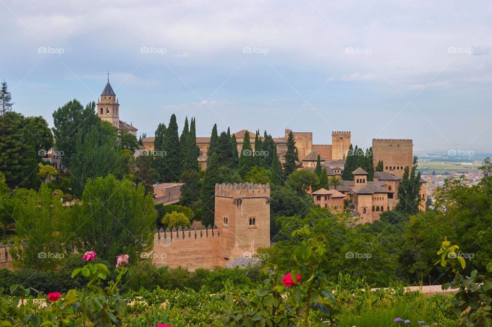 The Alhambra 