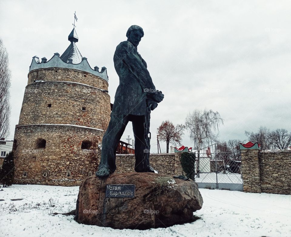 Ukrainian Robingwood