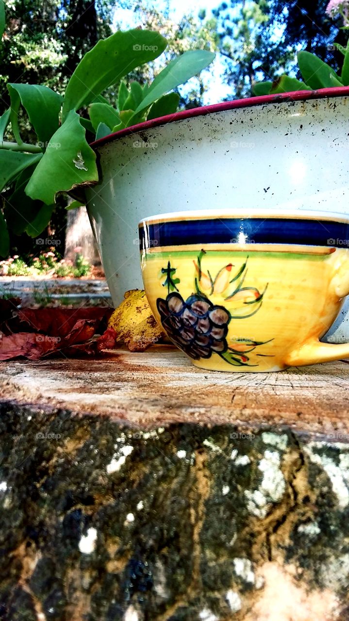 coffee in the garden