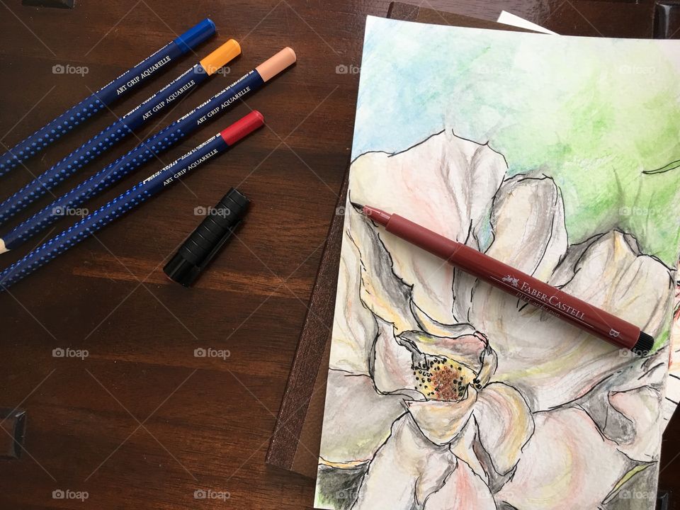 Flowers and nature colors Faber-Castell Aquarelle watercolor sketch art photography 