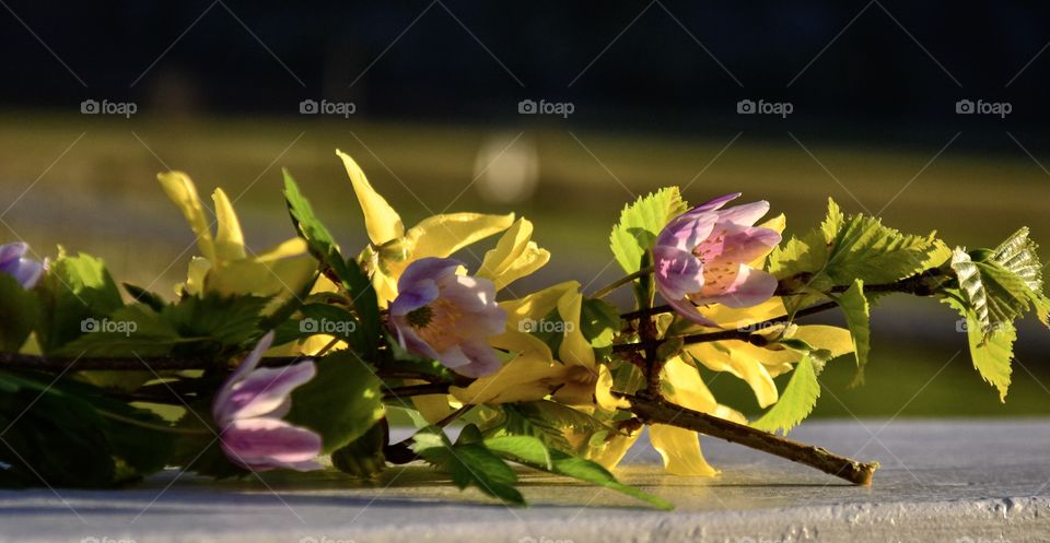 Flower crown 