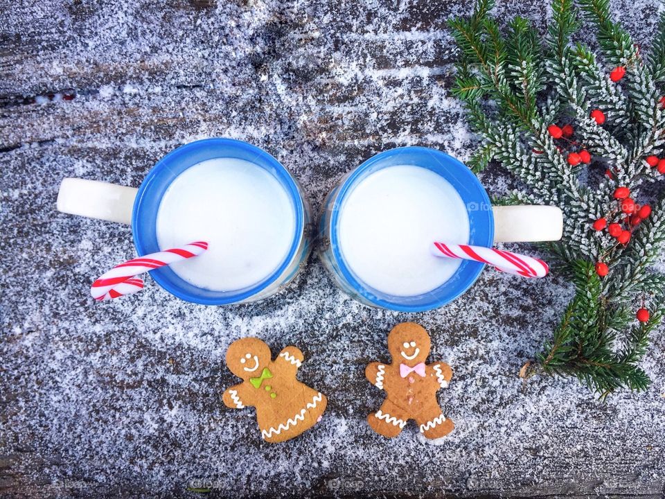 Ginger bread and milk