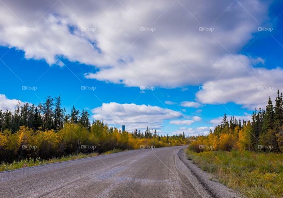 Yellowknife backroad! 