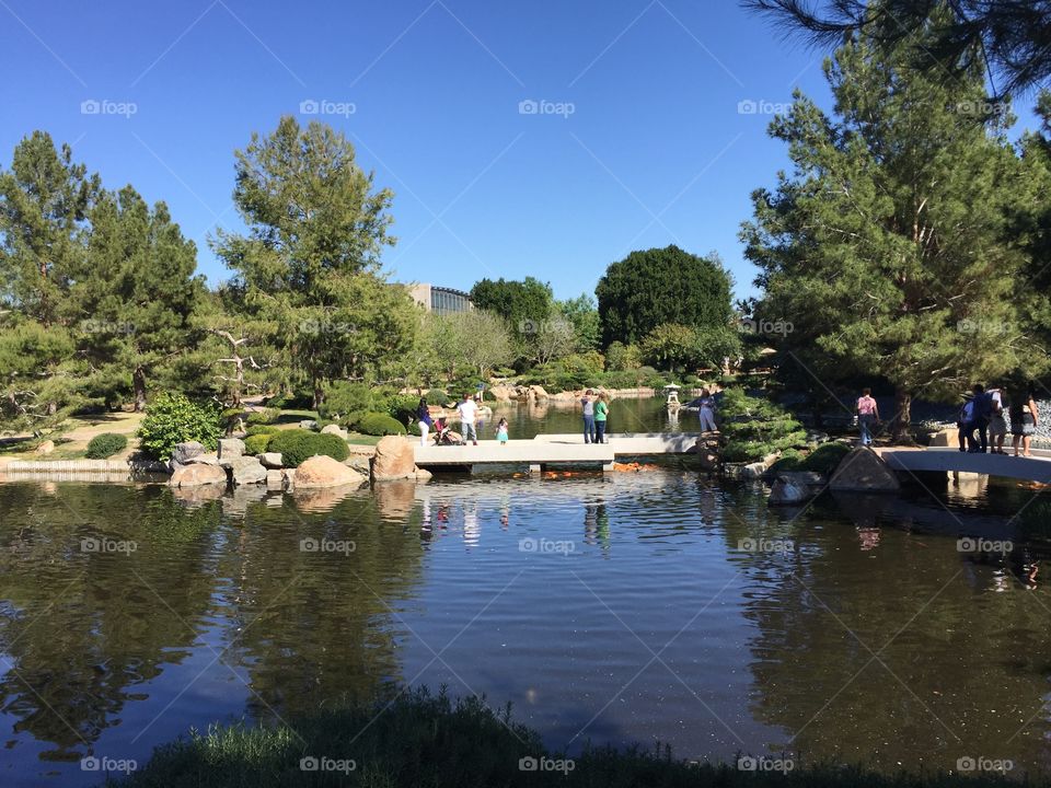 Water, Lake, Tree, No Person, Reflection
