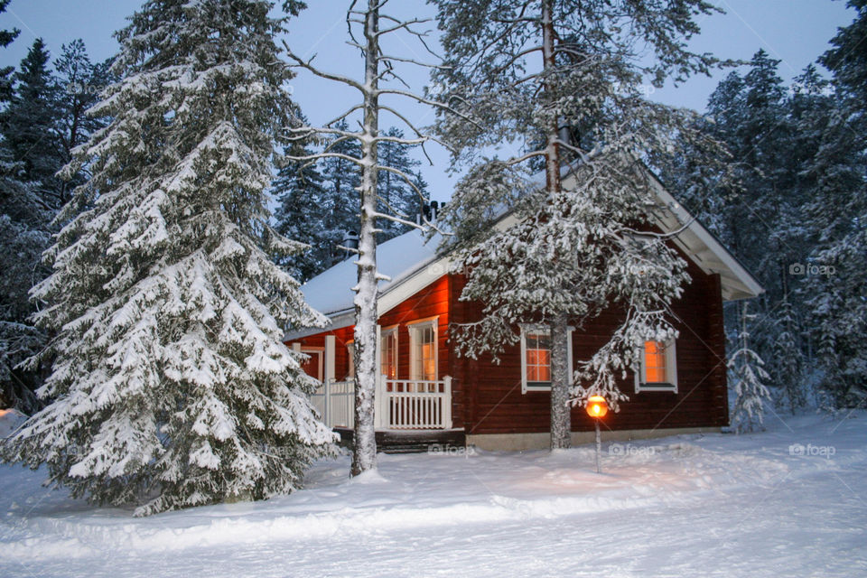 Cabin in a snowy forest