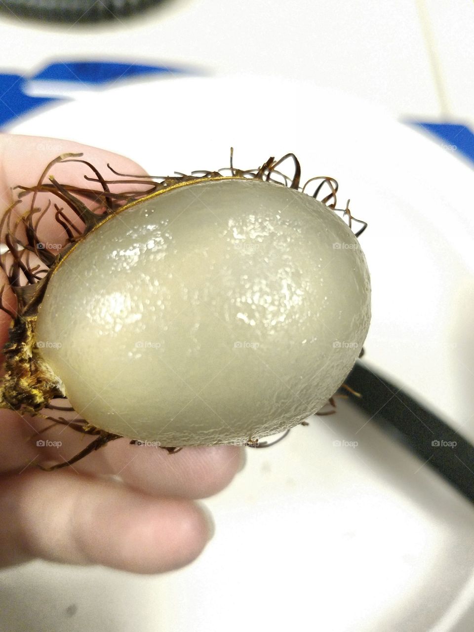rambutan - the inside fleshy part