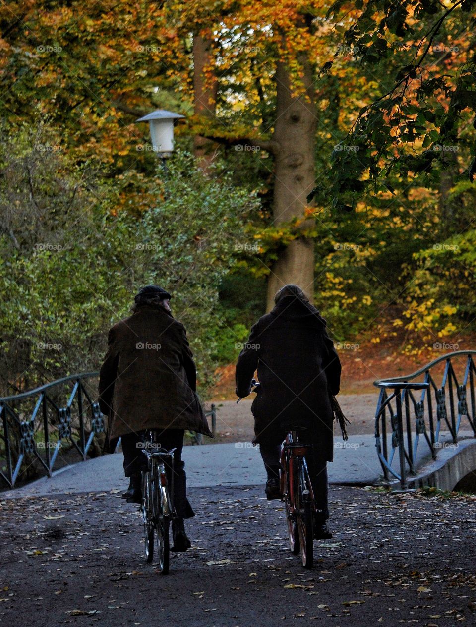 Biking in the park