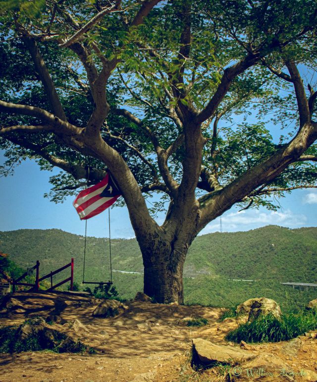 La Curva Del Arbol in Salinas, Puerto Rico, A place that will take your breath away❤️