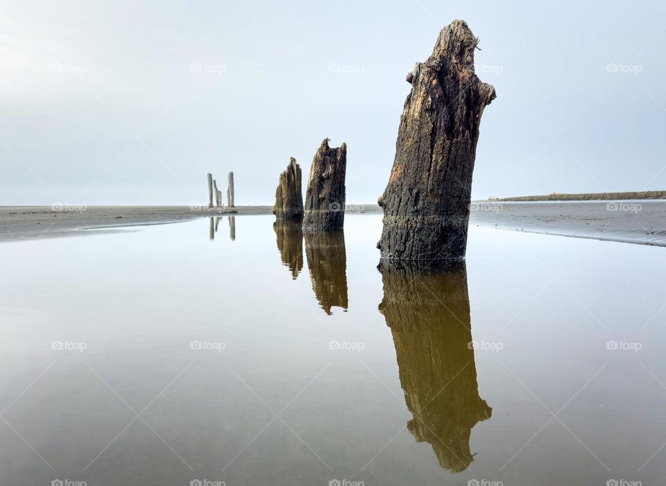 Remnants of an old pier at pacific beach in Washington state at low tide
