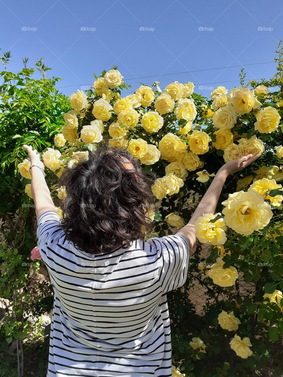 mujer asombrada por las rosas amarillas