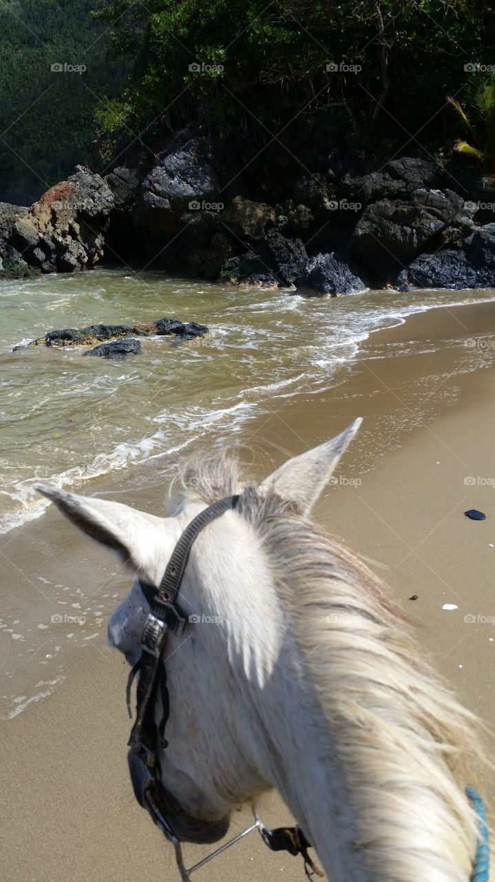 Horseback on the beach on a breezy day.