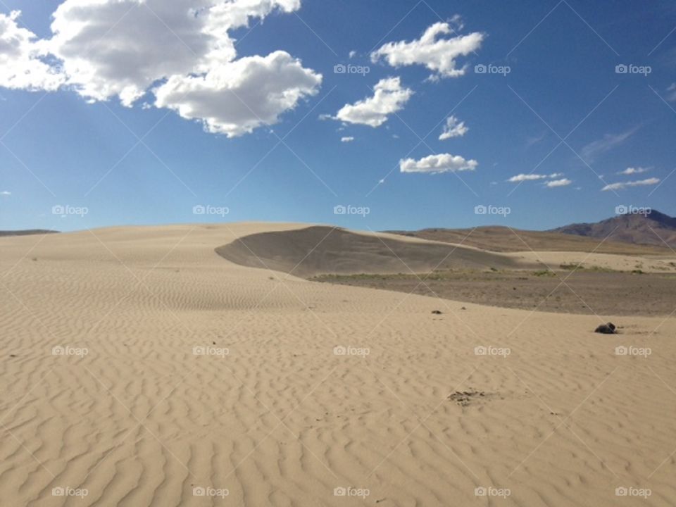 Desert plains 