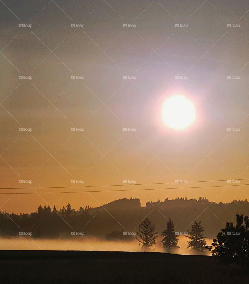 sunrise vs sunsets, foggy sunrise landscape