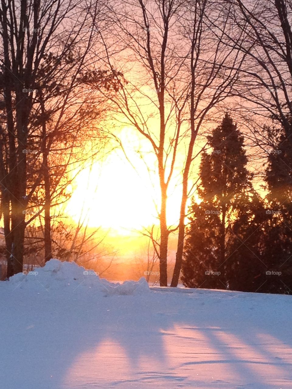 Winter Sunrise in Michigan