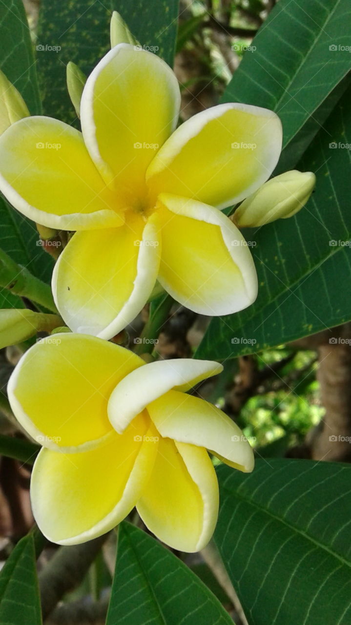 nature create beauty