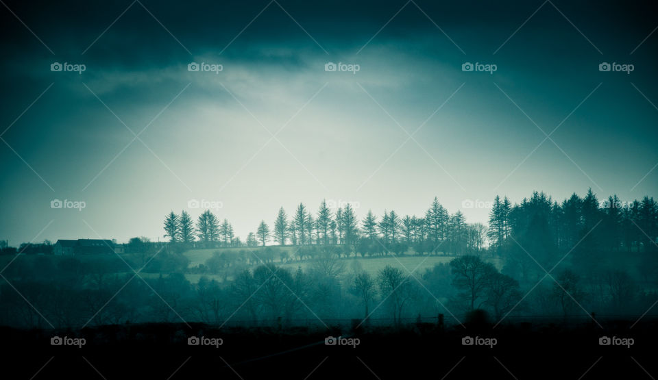 Landscape, Sky, Fog, Snow, Winter