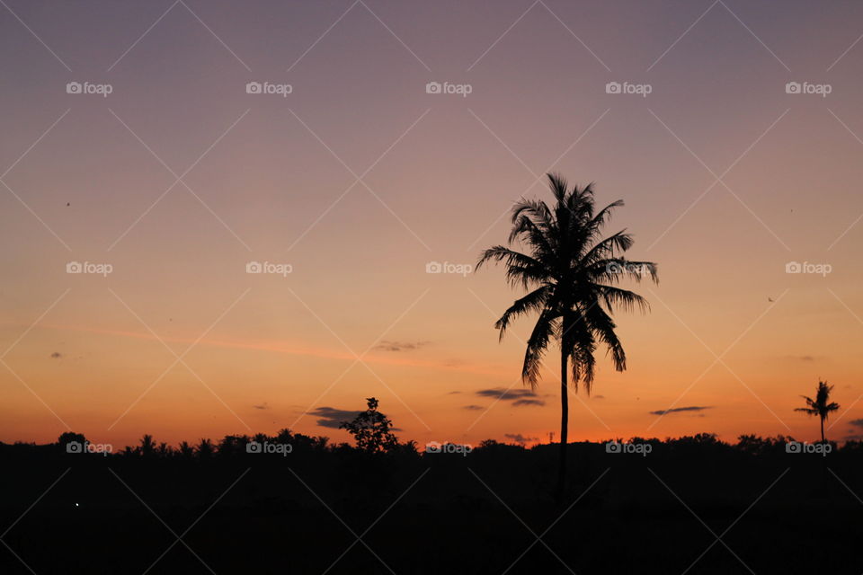 beautifull sun shine