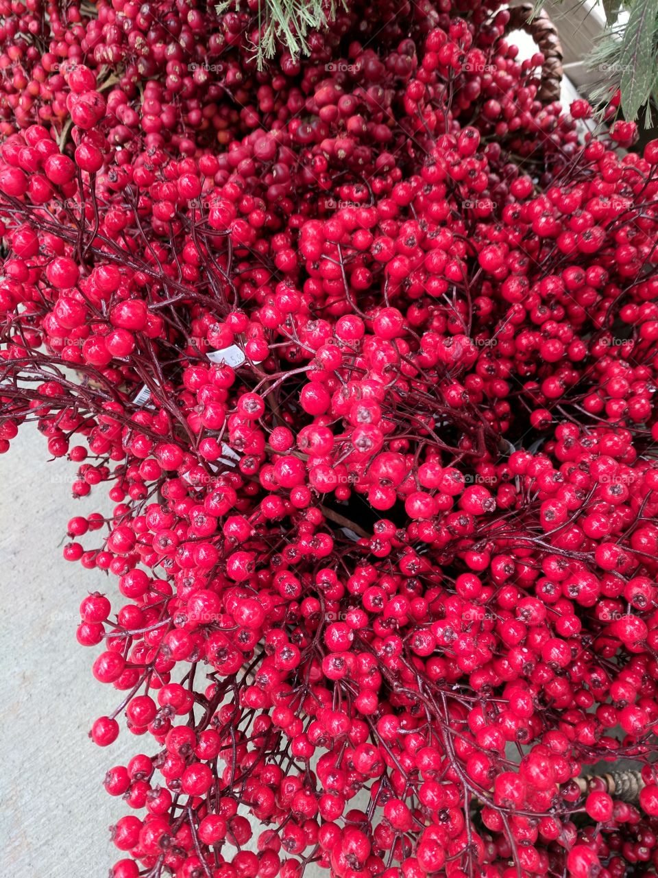 Berries for Sale