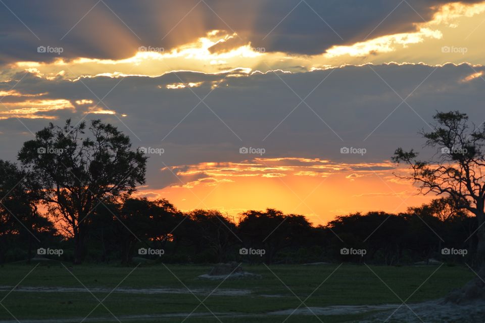 Hwange National Park sunset Zimbabwe