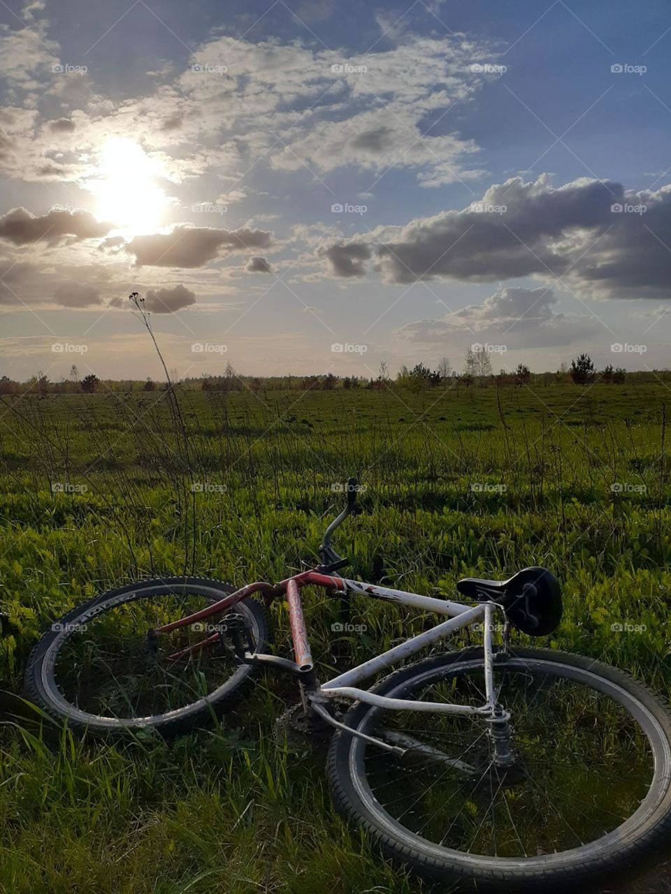 Triangular bicycle frame in the grass