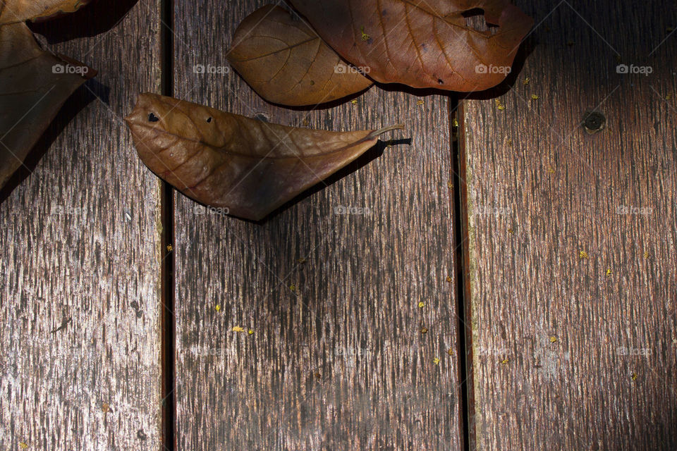 wooden floor old,Dry leaf, Dry leaves on floor