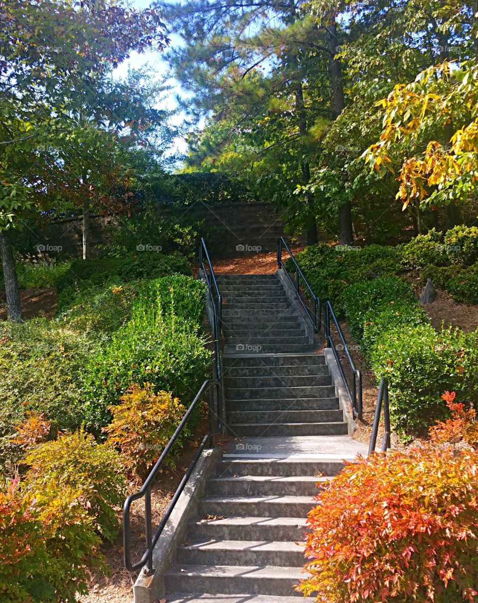 Fall Stairs