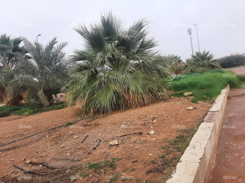 Please help me, I am very poor, I need your support and God is in need