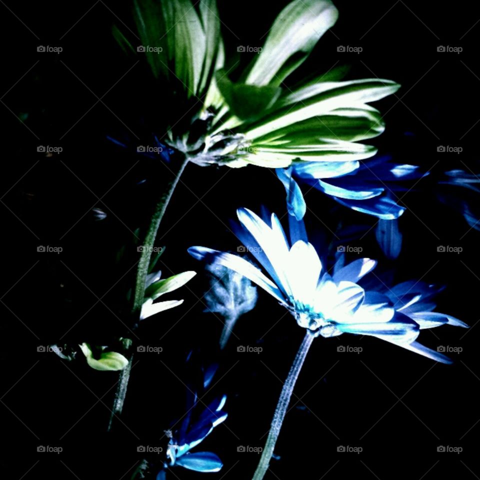 neonlights. flashlight effects