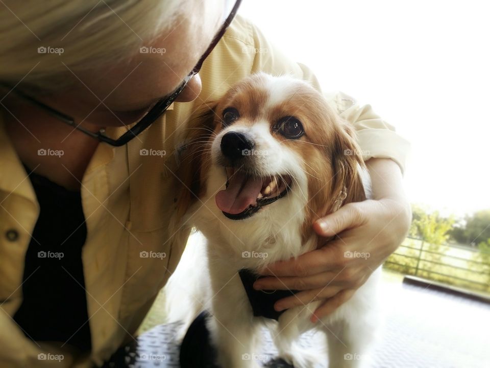 Papillion dog sitting outside with a woman hugging him in spring