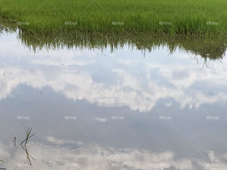 Editors ‘ choice : Photo of the week, Countryside.