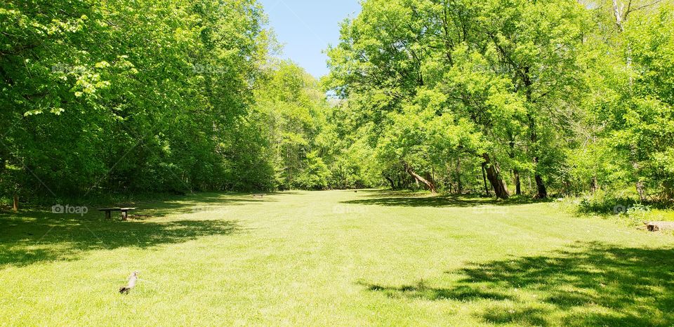 creekside camp ground