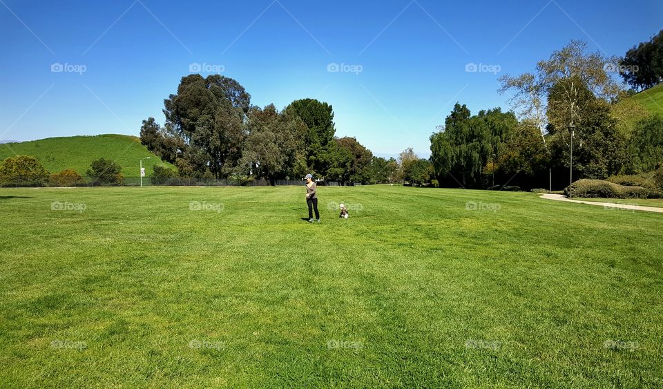 Run at the park with pet dog during the day in spring