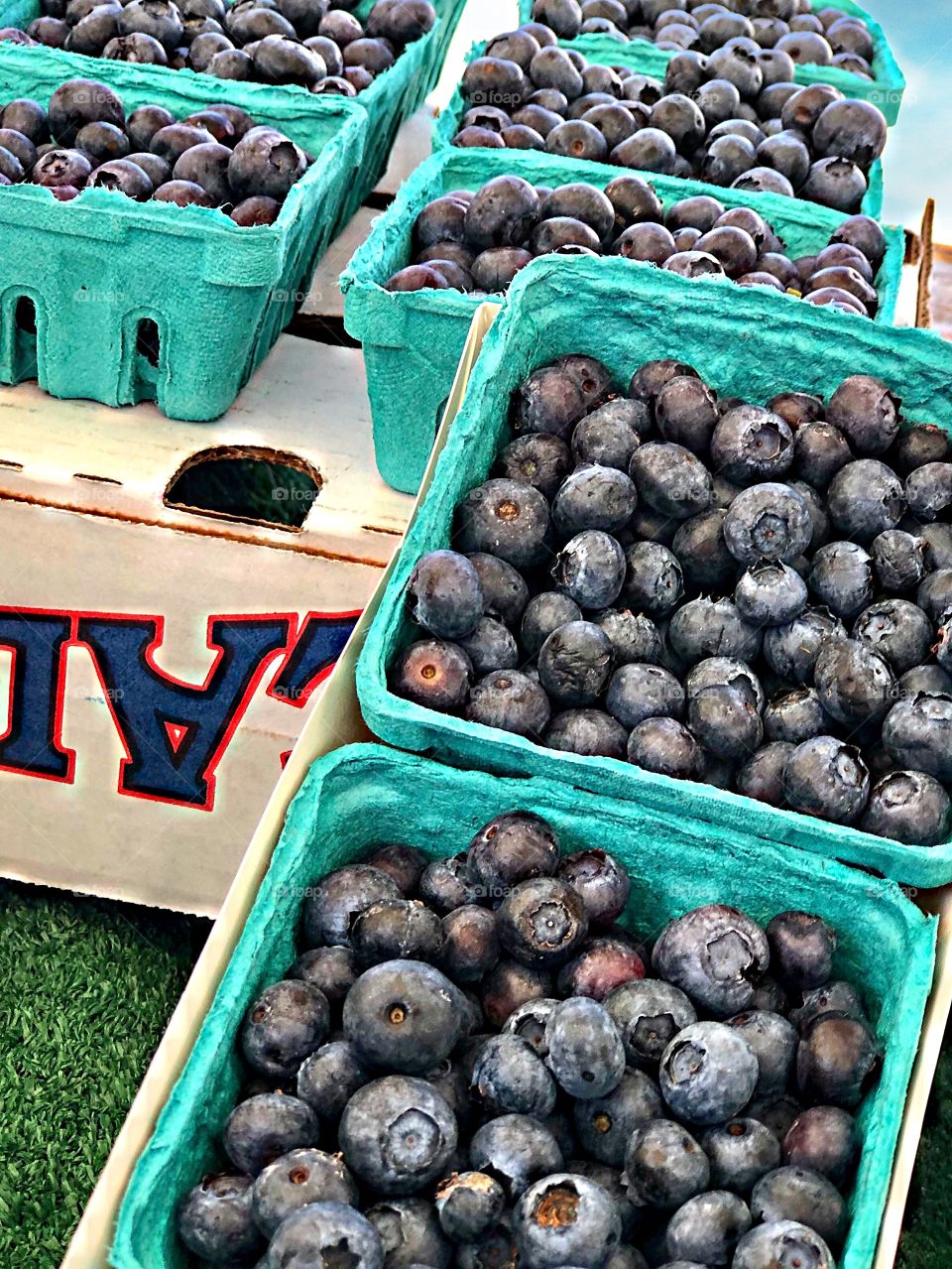 Foap Mission Fruits! Fresh Farmers Market Blueberries!