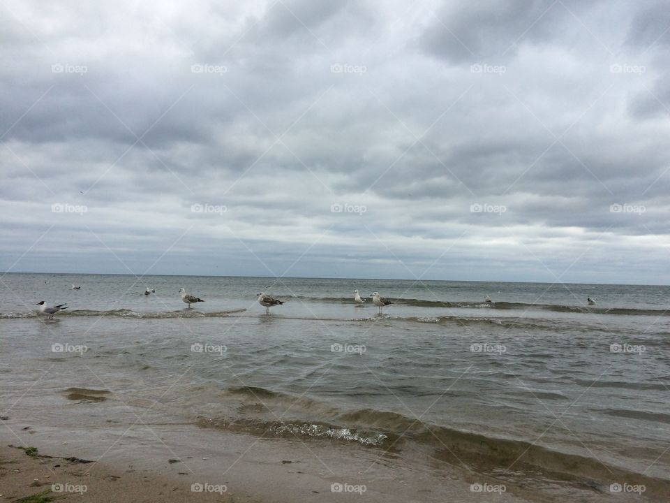 Dark sea and beach