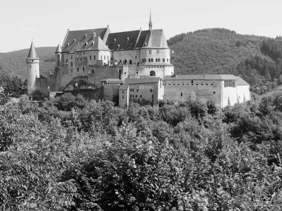 Chateau dé Vianden viewed through a lovely full forest against a backdrop of lush rolling hills outside of Vianden, Luxembourg on a sunny summer day. 