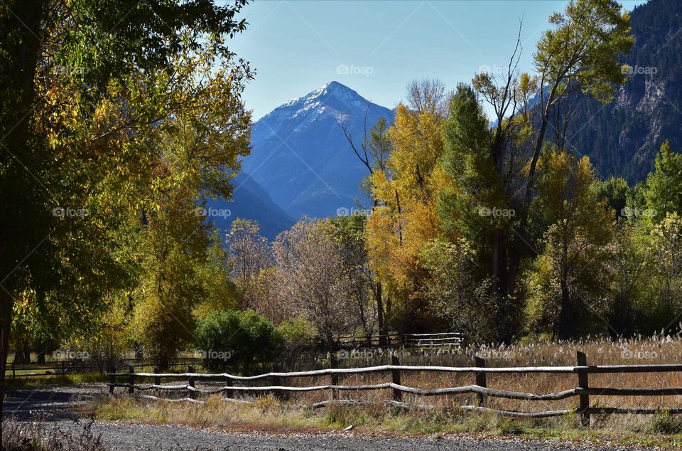 A tall Colorado mountain looms in the distance seemingly framed by trees of assorted colors
