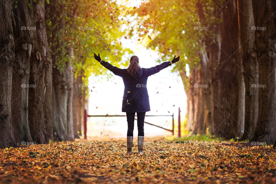 Fall, People, Wood, Nature, Outdoors