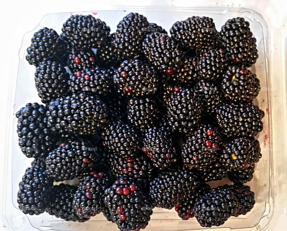 Farm Fresh Juicy Blackberries